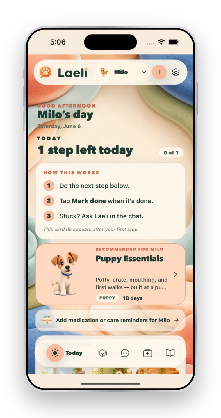 Laeli's Today home with the daily step
